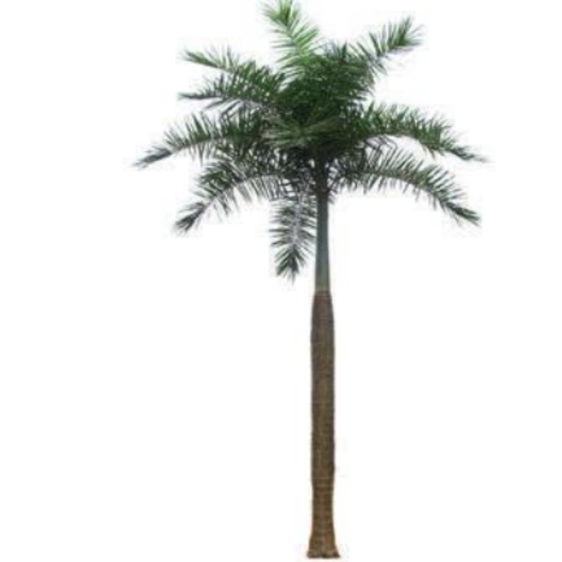 Stora utomhusartefakter av kokosnötsträd